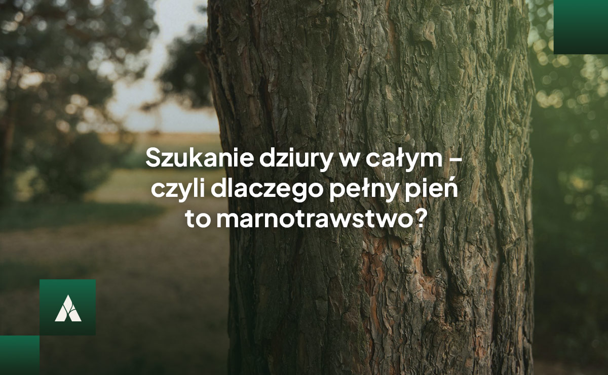 Szukanie dziury w całym – czyli dlaczego pełny pień to marnotrawstwo?