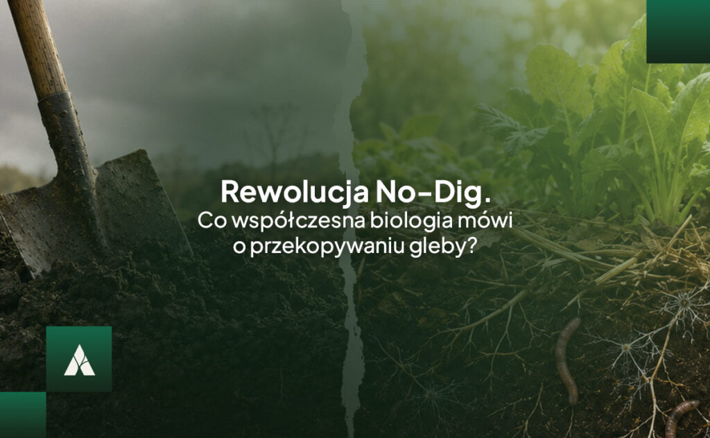 rewolucja no-dig