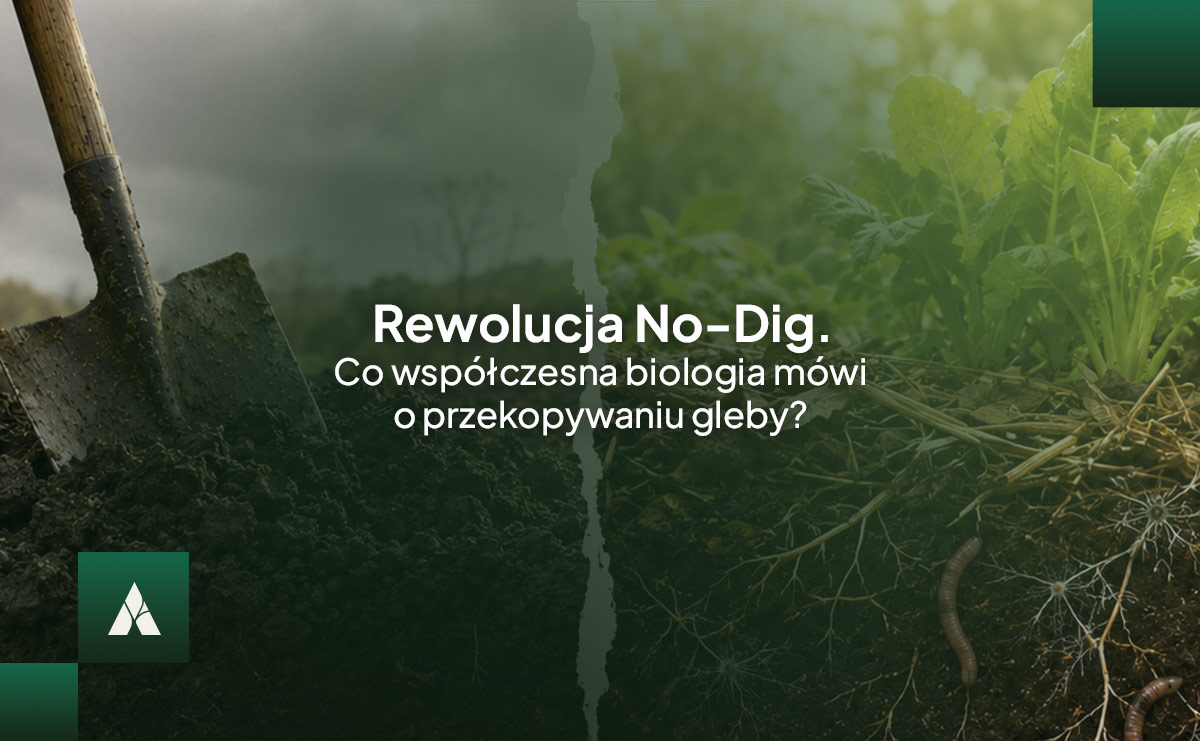 Rewolucja No-Dig. Co współczesna biologia mówi o przekopywaniu gleby?