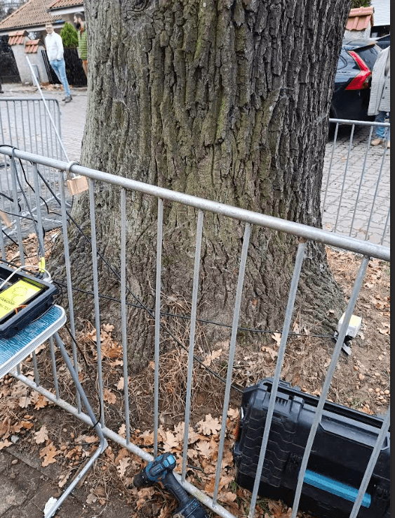 Zbliżenie na pień drzewa z zamontowanymi czujnikami do badania wewnętrznej struktury pnia – tomograf dźwiękowy używany w diagnostyce dendrologicznej.