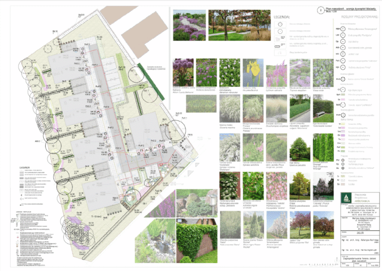 Zagospodarowanie terenu dom wielorodzinny
